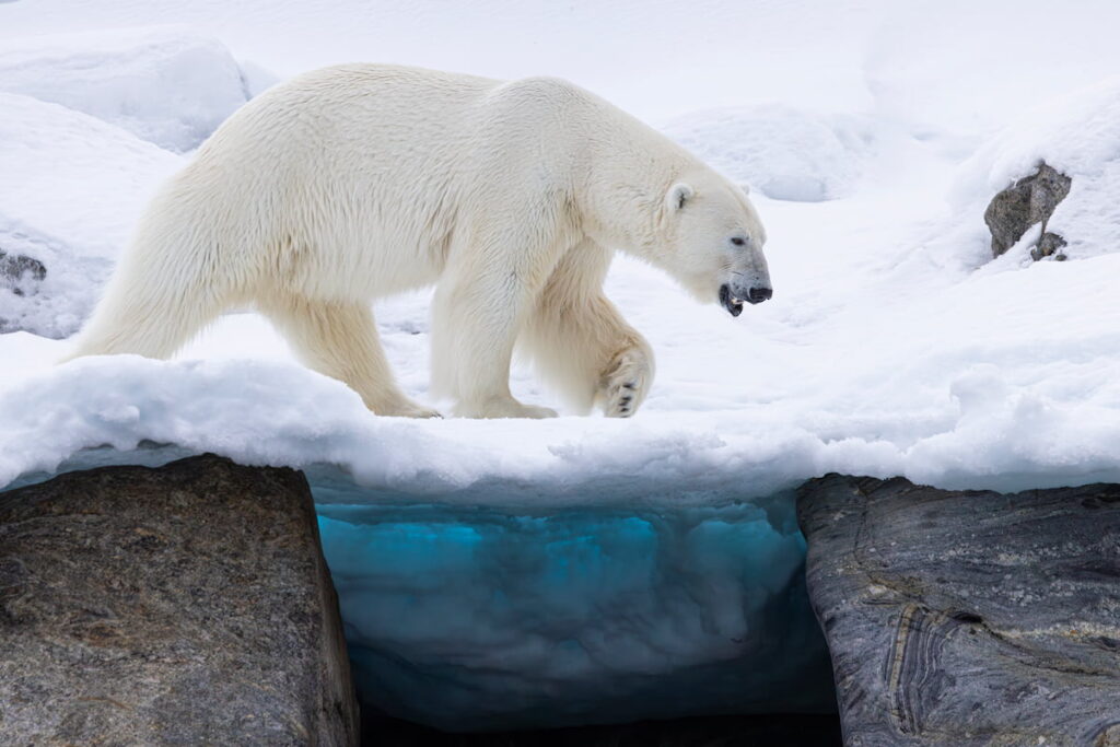 Yvan Vial (2e prix) pour « Le pont de glace » (Svalbard et île Jan Mayen) - Prix du photographe voyageur - Salon du livre 2025